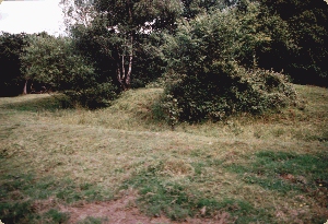 Castell Ty Du
