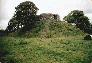 Wiston Castle